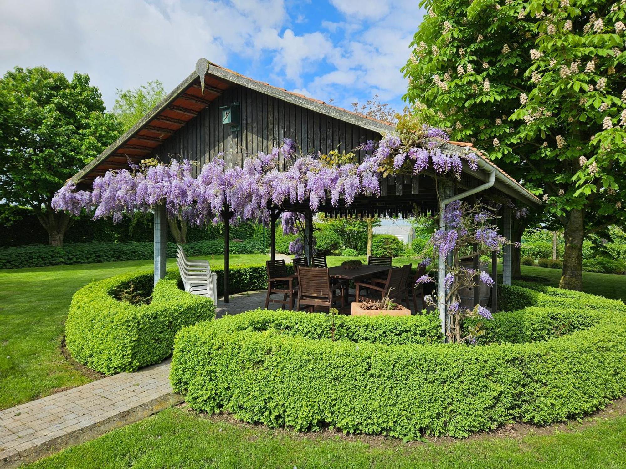 'T Hooghe Licht Bed & Breakfast Зоннебеке Экстерьер фото